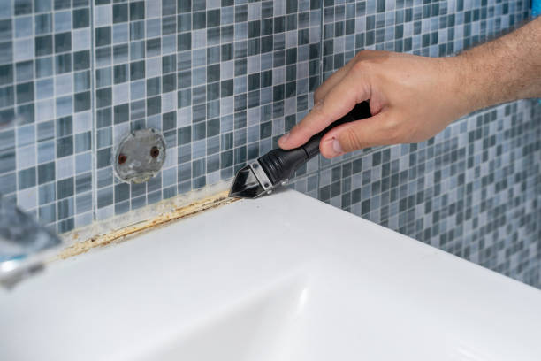 Best Mold Remediation Experts  in Beaver Dam, KY